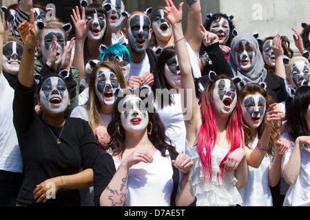 Ein Flashmob der ca. 50 Personen gekleidet wie Dachse, Brian Mays Song außerhalb der DEFRA-Büros in Smith Square in London tanzten Stockfoto