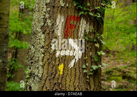 Italien, Latium, Via Francigena bei Bolsena, Wegschild auf Baumrinde gemalt Stockfoto