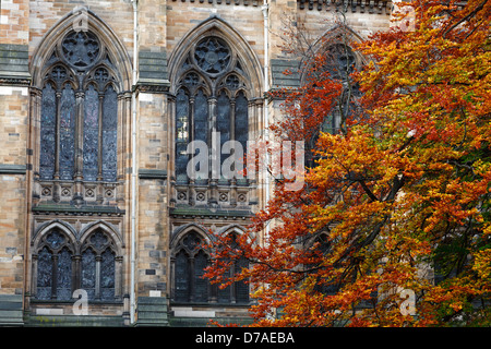 Detail der Fenster in der University of Glasgow East Quadrangle im Herbst, Gilmorehill, Glasgow, Schottland, Großbritannien Stockfoto