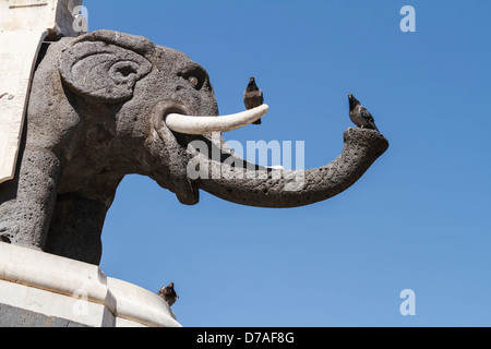 Die Lava Stein Elefanten, Symbol der Stadt Catania, Teil des Elefanten-Brunnens. Sizilien, Italien. Stockfoto