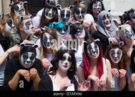 Ein Flashmob der ca. 50 Personen gekleidet wie Dachse, Brian Mays Song außerhalb der DEFRA-Büros in Smith Square in London tanzten Stockfoto