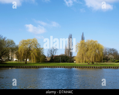 Westufer des Flusses Great Ouse St Neots Cambridgeshire Stockfoto