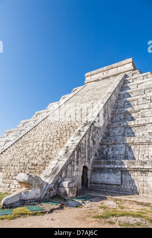 Kukulkan Pyramide in Chichen Itza Yucatan Mexiko - gefiederte Schlange-Skulptur am Fuße eines der Treppenhäuser, blauer Himmel Stockfoto