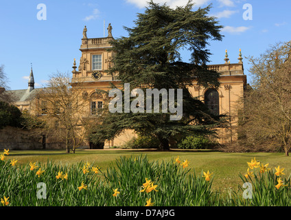 Trinity College Chapel und vordere Viereck Garten mit Zeder und Narzissen im Frühjahr Oxford Oxfordshire England UK Großbritannien Stockfoto