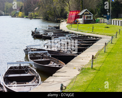 Ruderboote zu mieten auf dem Fluß Esk bei Ruswarp in der Nähe von Whitby North Yorkshire Stockfoto