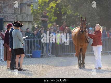 Badminton, Gloucs, 2. Mai 2013. Zara Phillips und ihr Pferd hoch Reich übergeben die erste tierärztliche Prüfung zu Beginn des Badminton Horse Trials. Bildnachweis: Nico Morgan / Alamy Live News Stockfoto