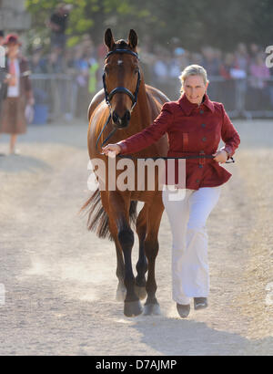 Badminton, Gloucs, 2. Mai 2013. Zara Phillips und ihr Pferd hoch Reich übergeben die erste tierärztliche Prüfung zu Beginn des Badminton Horse Trials. Bildnachweis: Nico Morgan / Alamy Live News Stockfoto