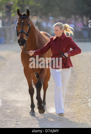 Badminton, Gloucs, 2. Mai 2013. Zara Phillips und ihr Pferd hoch Reich übergeben die erste tierärztliche Prüfung zu Beginn des Badminton Horse Trials. Bildnachweis: Nico Morgan / Alamy Live News Stockfoto