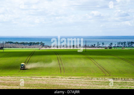 Die Landwirtschaft mit einem Traktor in einem grünen Feld im Frühjahr. Von der schwedischen Insel Öland in der Ostsee. Stockfoto