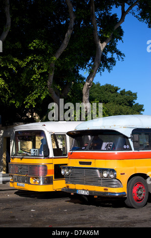 Die bunten vintage Busse in Valletta, Malta Stockfoto