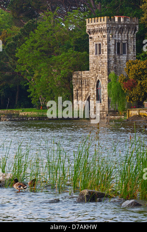 Massaciuccoli See, Viareggio, Torre del Lago Puccini, Provinz Lucca, Toskana Italien Europa. Stockfoto