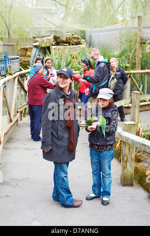 Menschen, die Verfütterung von Nektar an Gefangenen Lorikeets in Chessington World of Adventures Surrey UK Stockfoto