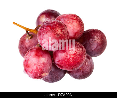 Rote Traube auf weißem Hintergrund Stockfoto