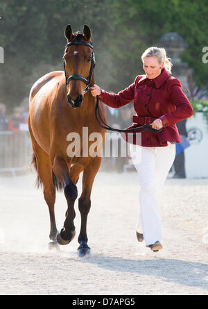 Badminton House, Gloucestershire, UK. 2. Mai 2013.  MS Zara Phillips MBE läuft neben ihrem Pferd High Königreich während Pferd Erstinspektion bei Badminton Horse Trials, gehalten in der Park Badminton House in Gloucestershire. Zara, Tochter der Prinzessin Royal und Enkelin von Königin Elizabeth II, gewann eine Silbermedaille bei den Olympischen Spielen in London. 2. Mai 2013. Bildnachweis: Adam Gasson/Alamy Live-Nachrichten Stockfoto