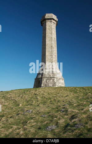 Das Hardy Denkmal 1844 in Erinnerung an Vizeadmiral Sir Thomas Hardy, gedient mit Nelson in der Schlacht von Trafalgar. Dorset, England. VEREINIGTES KÖNIGREICH. Stockfoto