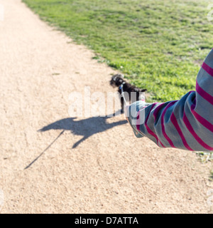 Nahaufnahme der Welpe auf Blei, selektiven Fokus. Stockfoto