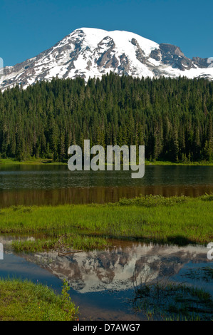 Mount Rainier und Spiegelung See, Mt Rainier NP, Washington, USA Stockfoto