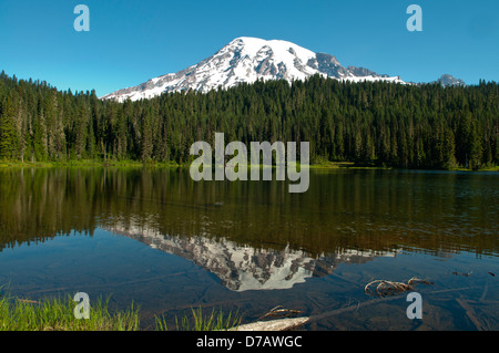 Mount Rainier und Spiegelung See, Mt Rainier NP, Washington, USA Stockfoto