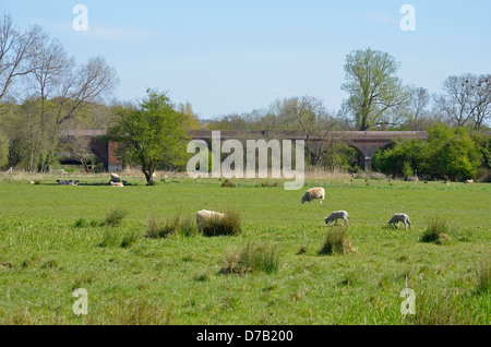 Auen und der alten Hockley Eisenbahnviadukt jetzt verwendet als öffentlicher Fußweg und Zyklus, Hockley, Winchester, Hampshire, Stockfoto