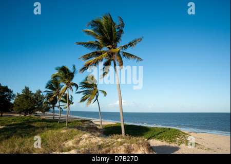 Strand, Beira, Mosambik Stockfoto