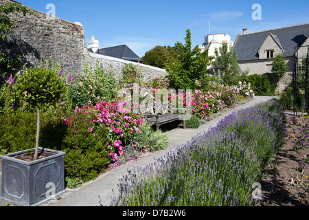 Cowbridge Physic Garden in voller Blüte Stockfoto