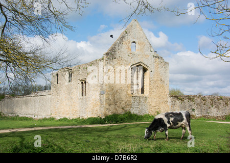 OXFORD, GROßBRITANNIEN. Die Überreste der Godstow Abbey an der Themse. 2013. Stockfoto