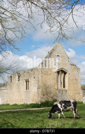 OXFORD, GROßBRITANNIEN. Die Überreste der Godstow Abbey an der Themse. 2013. Stockfoto