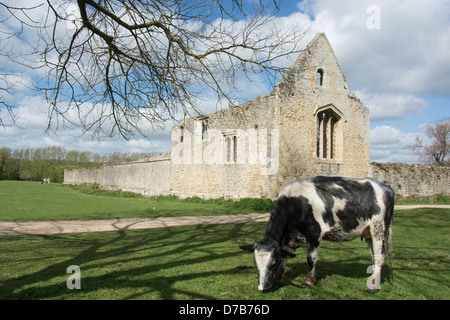 OXFORD, GROßBRITANNIEN. Die Überreste der Godstow Abbey an der Themse. 2013. Stockfoto