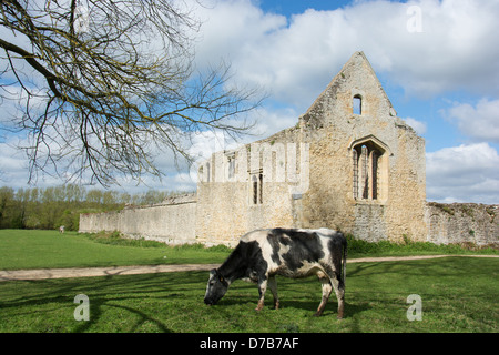 OXFORD, GROßBRITANNIEN. Die Überreste der Godstow Abbey an der Themse. 2013. Stockfoto