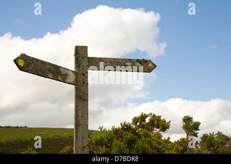 Öffentlichen Fußweg Zeichen in Moos und Flechten bedeckt. Devon, Englend Stockfoto