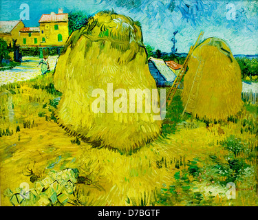 Garbe von Mais in der Provence 1888 Vincent van Gogh 1853-1890 Niederlande Niederlande Stockfoto