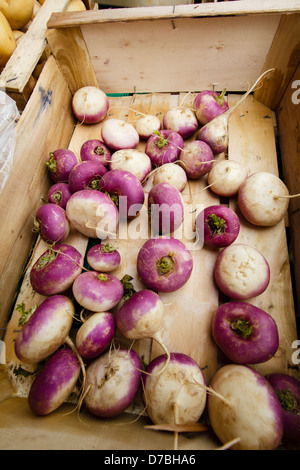 Rüben in der Holzkiste zum Verkauf auf dem lokalen Markt von Toulouse, Frankreich Stockfoto