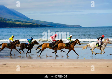 Glenbeigh Rennen am Rossbeigh Strand Kerry Stockfoto