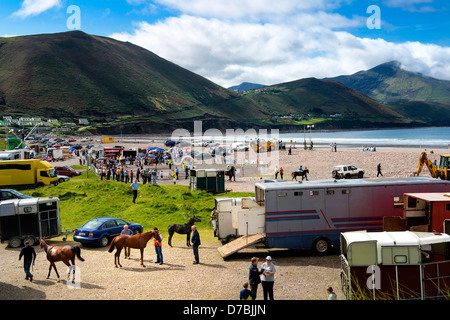 Glenbeigh Rennen am Rossbeigh Strand Kerry Stockfoto