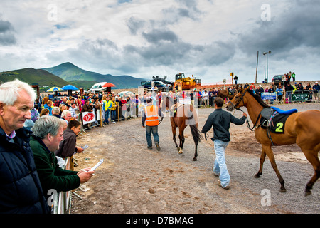 Glenbeigh Rennen am Rossbeigh Strand Kerry Stockfoto