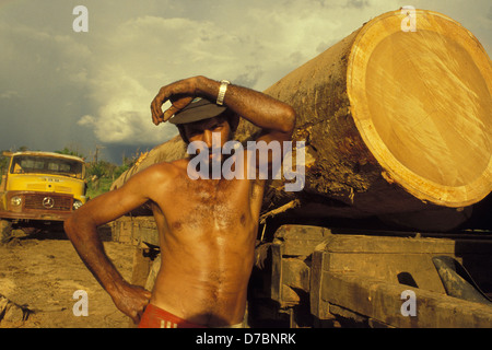 Amazonas Regenwald, Brasilien. Holzverarbeitende Industrie. Transport von Holz. Stockfoto