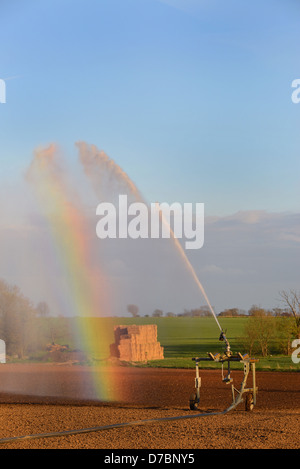 Wasserwerfer Bewässerung Samen im Feld während der Dürre Zauber im heißen Sommer Süd Milford Yorkshire uk Stockfoto