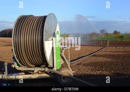 Wasserwerfer Bewässerung Samen im Feld während der Dürre Zauber im heißen Sommer Süd Milford Yorkshire uk Stockfoto