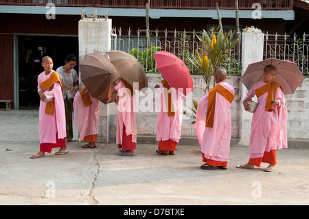 Eine Gruppe von rosa gekleidet Nonnen Almosen sammeln am frühen Abend in einem Dorf in der Nähe von Inle Lake Myanmar (Burma) Stockfoto