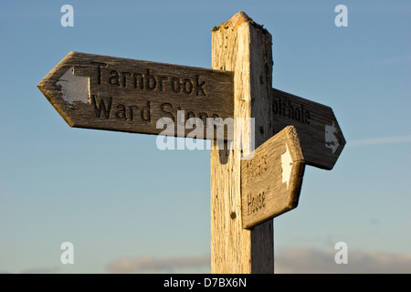 Wolfhole Felsen im Wald von bowland Stockfoto