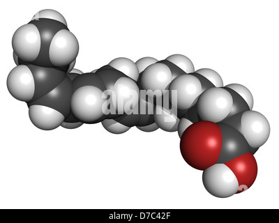 Ungesättigten Omega-3-Fettsäure (Alpha-Linolensäure), molekulare Modell. Atome werden als Kugeln dargestellt. Stockfoto