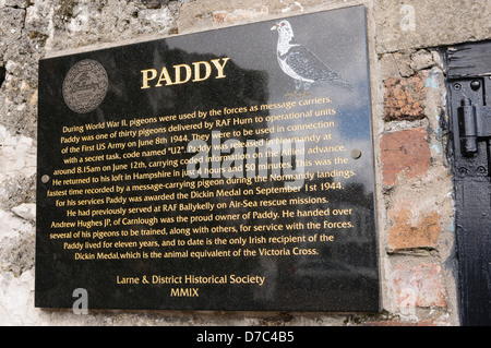 Gedenktafel errichtet, um den "Mut" einer Taube namens 'Paddy' während des 2. Weltkrieges markieren Stockfoto