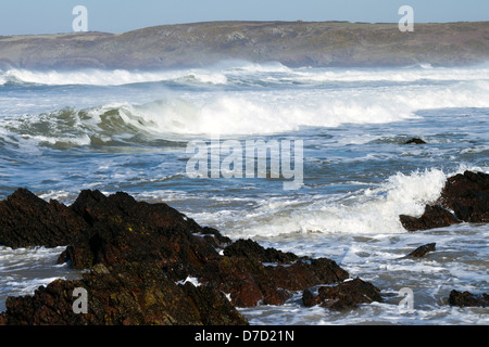 Storm Wellen aus Süßwasser West Beach, Pembrokeshire, Frühjahr 2013 Stockfoto