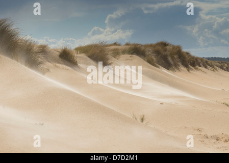 Wind Sand Dünen mit stürmischen Himmel geblasen, Stockfoto