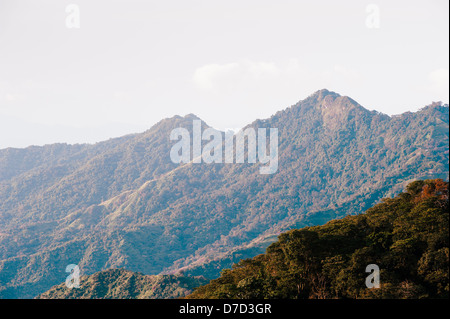 Kolumbien - Regenwald in den Bergen der Sierra Nevada de Santa Marta Stockfoto