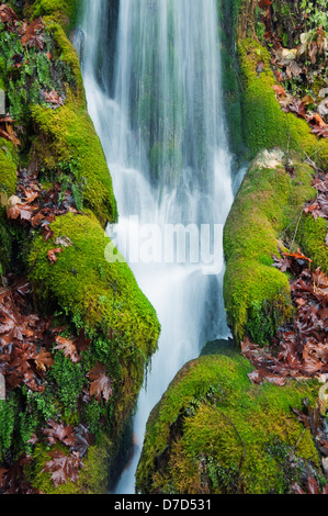 ein Bach Wasserfall durchläuft moosbedeckten Felsen im Herbst Stockfoto