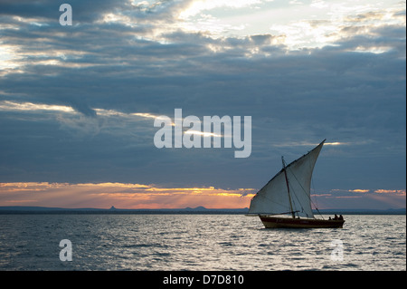 Dhow Segeln in Pemba Bay bei Sonnenuntergang, Mosambik Stockfoto