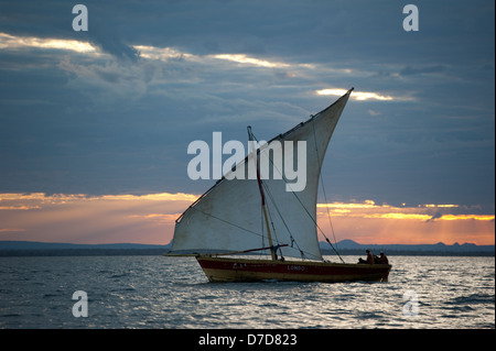 Dhow Segeln in Pemba Bay bei Sonnenuntergang, Mosambik Stockfoto