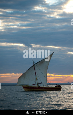 Dhow Segeln in Pemba Bay bei Sonnenuntergang, Mosambik Stockfoto