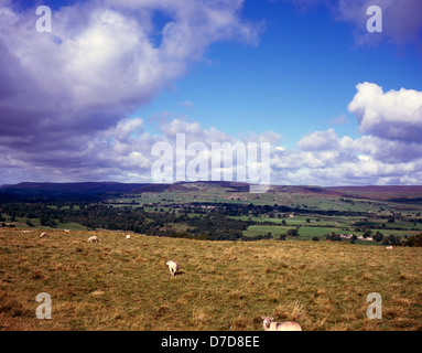Blick über Wensleydale in die Richtung der Askrigg gemeinsamen aus Penhill Yorkshire Dales England Stockfoto